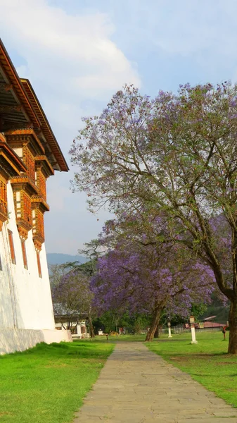 Sentiero del Monastero — Foto Stock