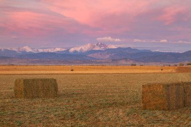 Sunrise over Longs Peak with Harvested crops in the foreground clipart