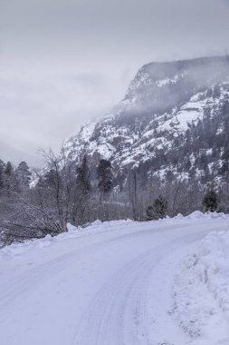 Kar kaplı yollar Rocky Dağı Milli Parkı'nda