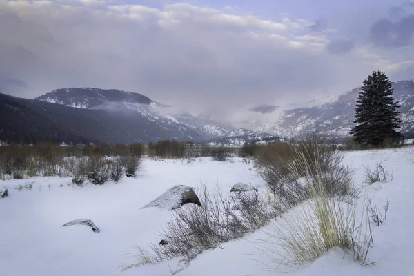 Matin d'hiver sur Moraine Park — Photo