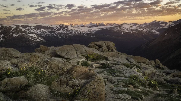 Trail Ridge Road Été Lever du soleil — Photo