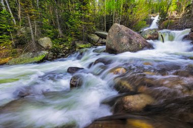 Estes Park Colorado 'nun dışındaki Rocky Mountain Ulusal Parkı' nda karlar erirken Alberta Şelalesi 'nin akan suyu.
