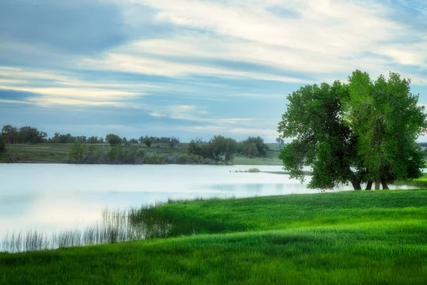 Een Prachtige Lentedag Noord Colorado Met Groen Gras Blauwe Luchten — Stockfoto