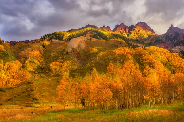 Bladeren Van Aspen Gloeien Ochtendzon Als Bergtoppen Oplichten Als Zon — Stockfoto