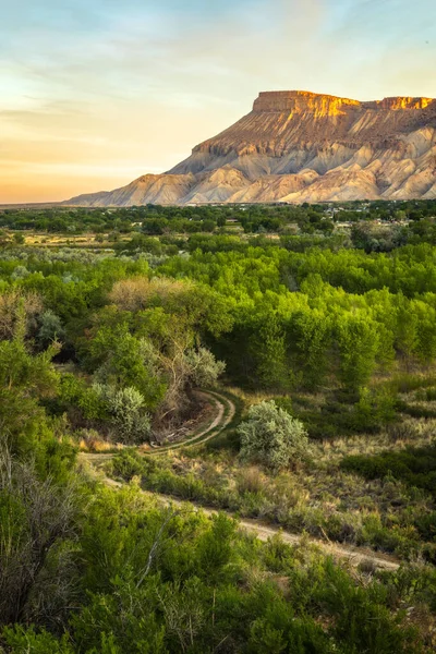 Garfield Který Nachází Grand Junction Colorado Výhled Zelené Stromy Krásného — Stock fotografie