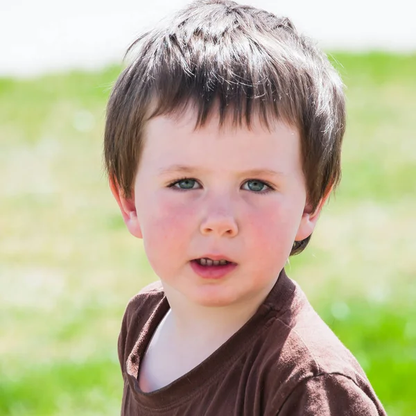 Schattige vier jaar oude jongen — Stockfoto