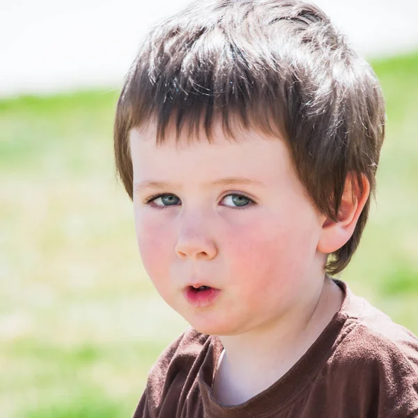 Niedlicher vierjähriger Junge — Stockfoto