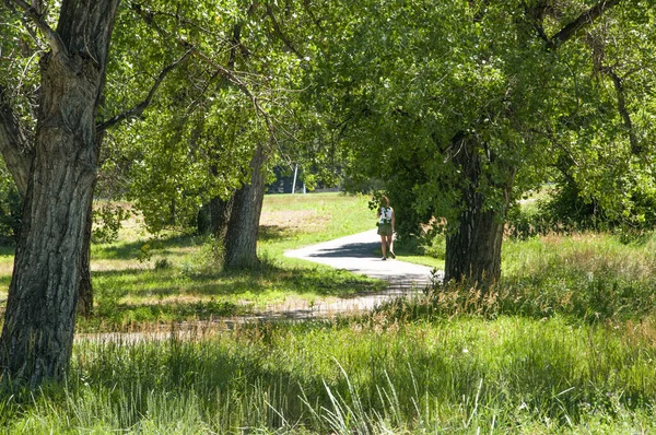 Uma bicicleta e trilha a pé através de um parque — Fotografia de Stock