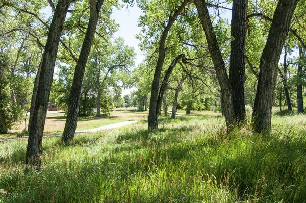 Una bicicleta y sendero a pie a través de un parque — Foto de Stock