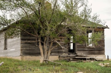 Korkunç ağacı ve bahçesi olan eski perili bir ev..