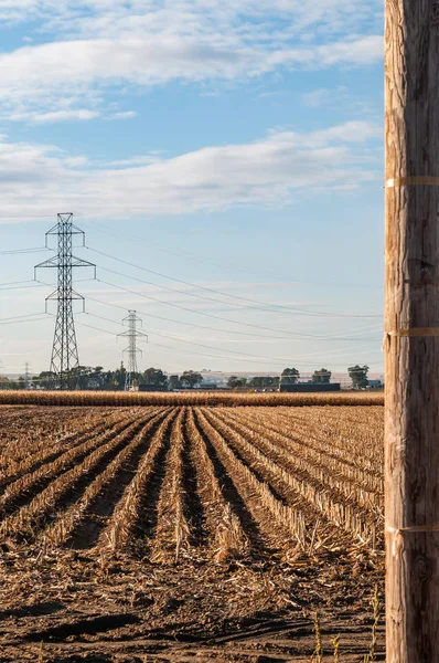 Vista del campo de maíz cosechado y líneas eléctricas de alta tensión . —  Fotos de Stock