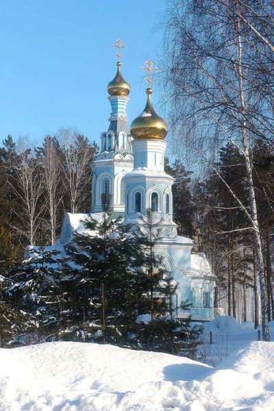 Rússia Novosibirsk Templo Centro Pesquisa Koltsovo Vector — Fotografia de Stock