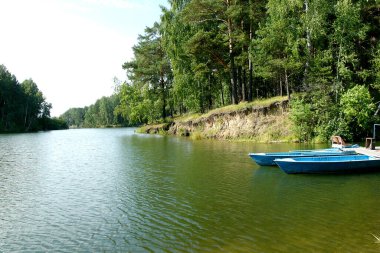 - Rusya. Sibirya 'da. Berd Nehri. Yaz