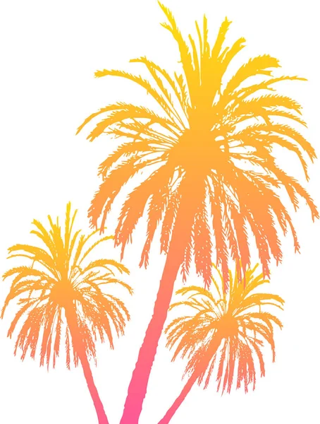 Palm Träd Siluetter Isolerad Vit — Stock vektor
