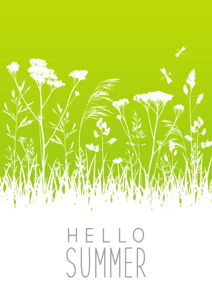 緑の夏草原草のシルエット — ストックベクタ