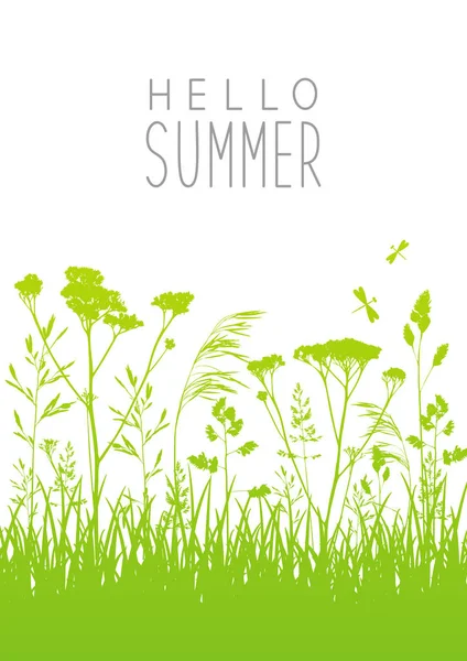 Green Summer Meadow Grass Silhouettes — Stock Vector