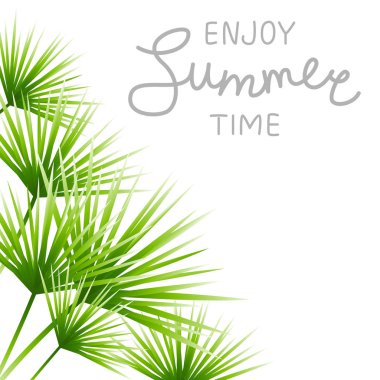 Yaz arka plan ile yeşil tropikal yaprak