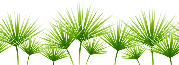 Seamless Border Green Palm Leaves — Stock Vector