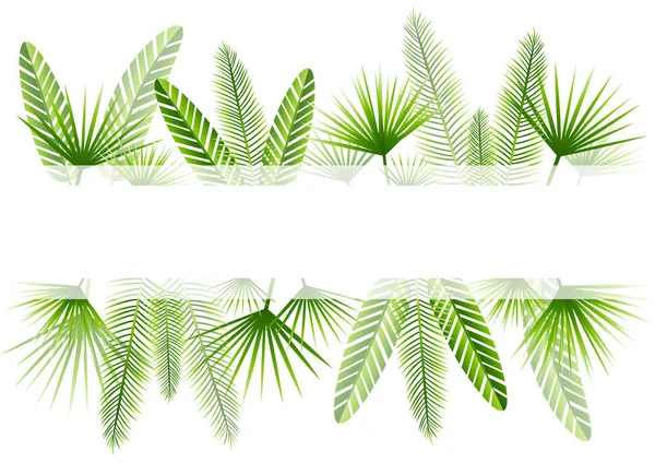 Summer Background Green Tropical Leaves Border — Stock Vector