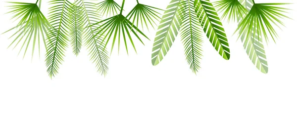 Bordure Estivale Avec Feuilles Tropicales Vertes — Image vectorielle