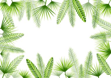 Yeşil tropikal yaz arka plan beyaz arka plan üzerinde izole kare bırakır