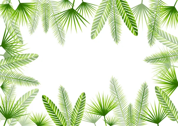 Summer Background Green Tropical Leaves Frame Isolated White Background — Stock Vector