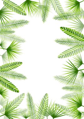 Beyaz arka plan üzerinde izole kare yeşil tropikal yaprak
