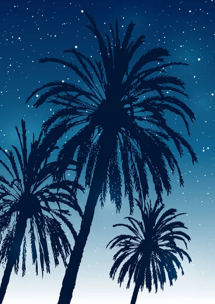 Zomer Tropische Achtergrond Met Palmbomen Silhouetten Sterrenhemel — Stockvector