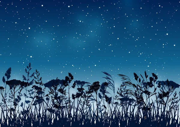 Letní Pozadí Světlými Stromy Noční Hvězdnaté Obloze — Stockový vektor