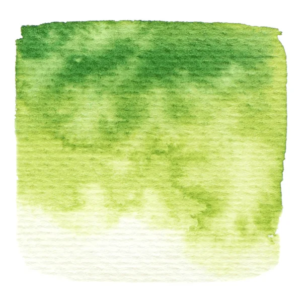 Zielona Farba Tekstura Białym Tle — Wektor stockowy