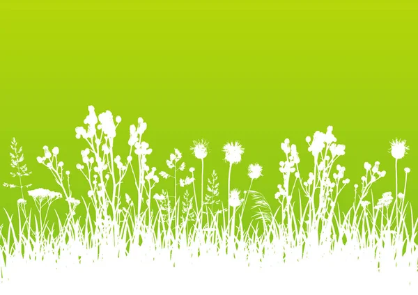 Wildkräuter Weiße Silhouetten Rand Auf Grün Vektorhintergrund Für Natürliches Sommerdesign — Stockvektor