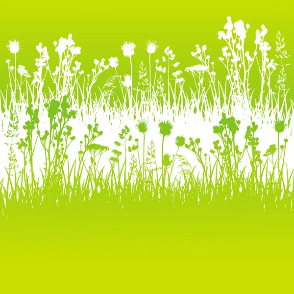 野生草本植物白色轮廓边缘绿色矢量背景的自然夏季设计 — 图库矢量图片