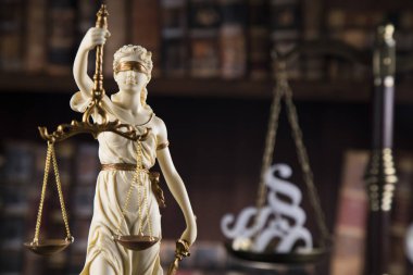 Bayan Adalet, hukuk ve adalet kavramı