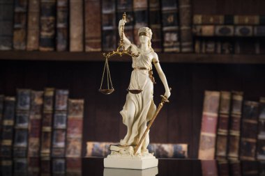 Bayan Adalet, hukuk ve adalet kavramı