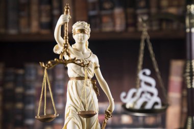 Bayan Adalet, hukuk ve adalet kavramı