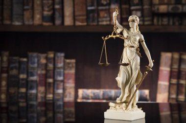 Bayan Adalet, hukuk ve adalet kavramı