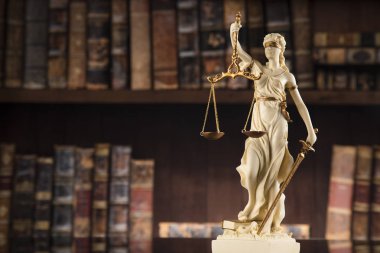 Bayan Adalet, hukuk ve adalet kavramı