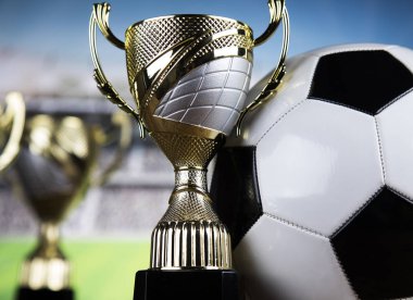 Bardak Kazananlar Ödülü, Spor donatımı ve topları