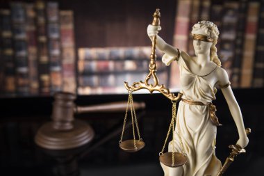 Bayan Adalet, hukuk ve adalet kavramı