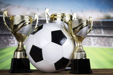 Hayalarına konsept spor, kupa ve şampiyonluk