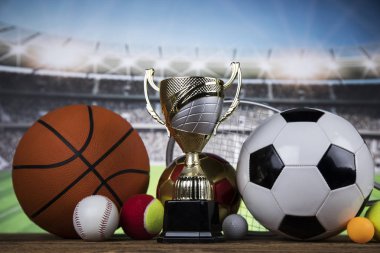 Bardak Kazananlar Ödülü, Spor donatımı ve topları