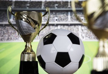 Bardak Kazananlar Ödülü, Spor donatımı ve topları