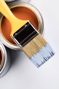 boya ve boya fırçası