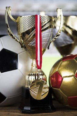 Kupa şampiyonu, spor arka planı için