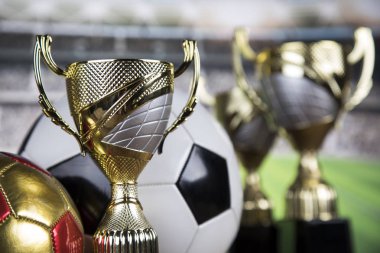 Bardak Kazananlar Ödülü, Spor donatımı ve topları