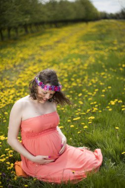 Bahar bahçe çiçek açan dandelions arasında güzel hamile kadın