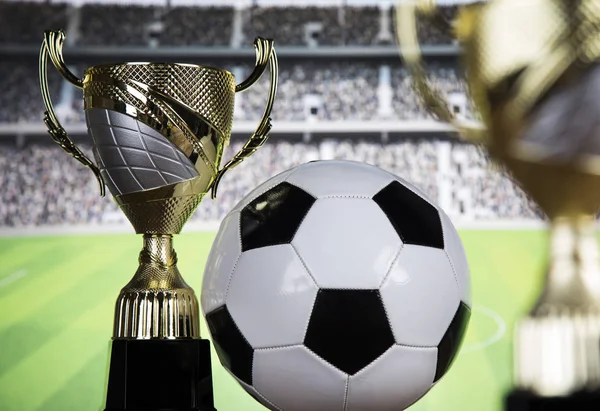 Cups Winners Award Sport Equipment Balls — Stock Photo, Image