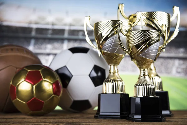 Premio Trofeo Ganador Del Campeonato Fondo Del Estadio Deportivo — Foto de Stock