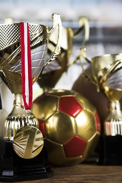 杯子优胜者奖 体育设备和球 — 图库照片