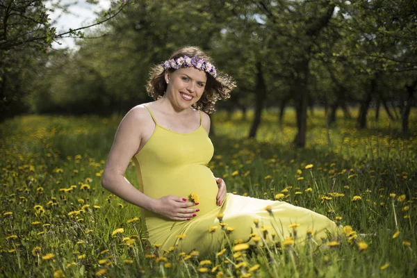 Hermosa Mujer Embarazada Jardín Primavera Entre Los Dientes León Flor —  Fotos de Stock